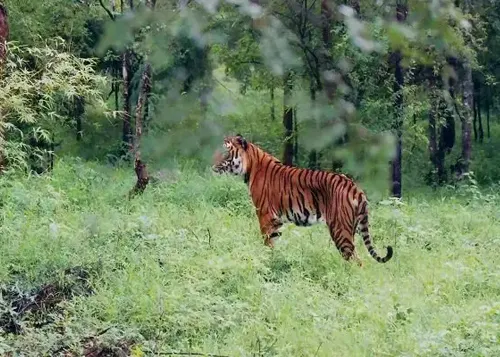 Shri Vetrivel Tours and Travels Sankarankovil