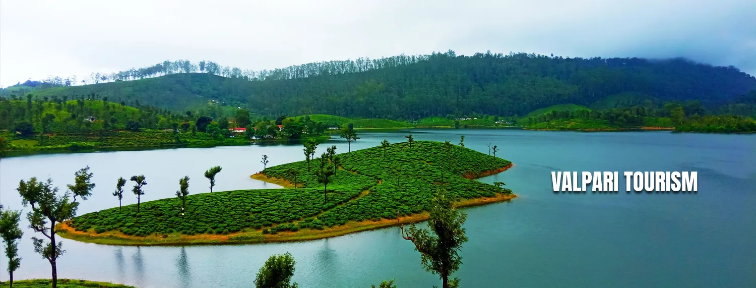 Shri Vetrivel Tours and Travels Sankarankovil